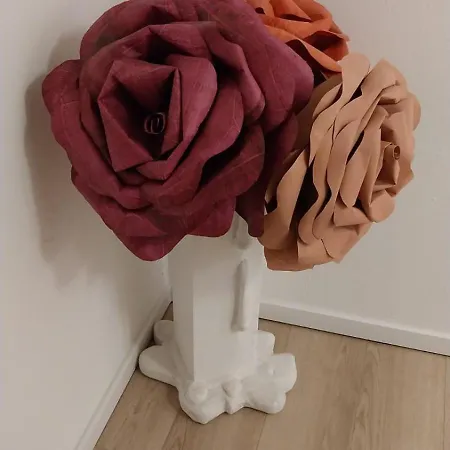 Daire Golden Angel Carcassonne