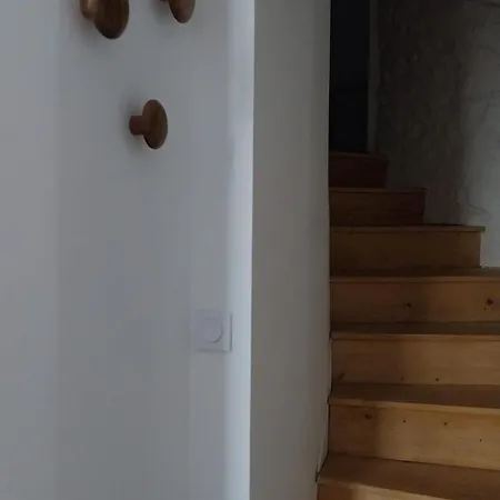 Golden Angel Daire *